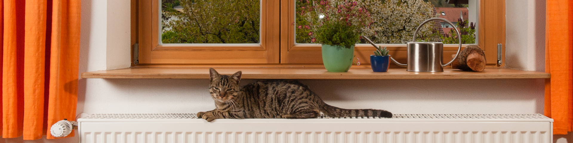 Katze auf der warmen Heizung